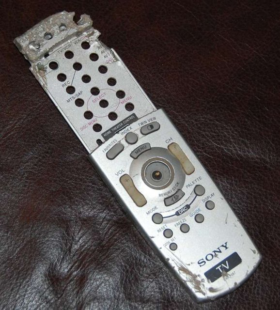RM-Y 187chewed