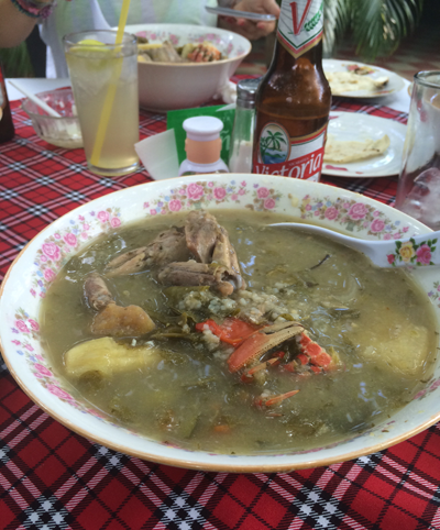 iguana soup