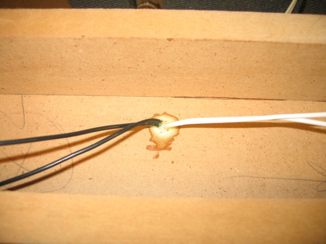 wires popping up into the tweeter cavity, sealed w/ PU glue