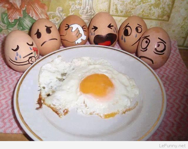 Funny-egg-funeral-picture