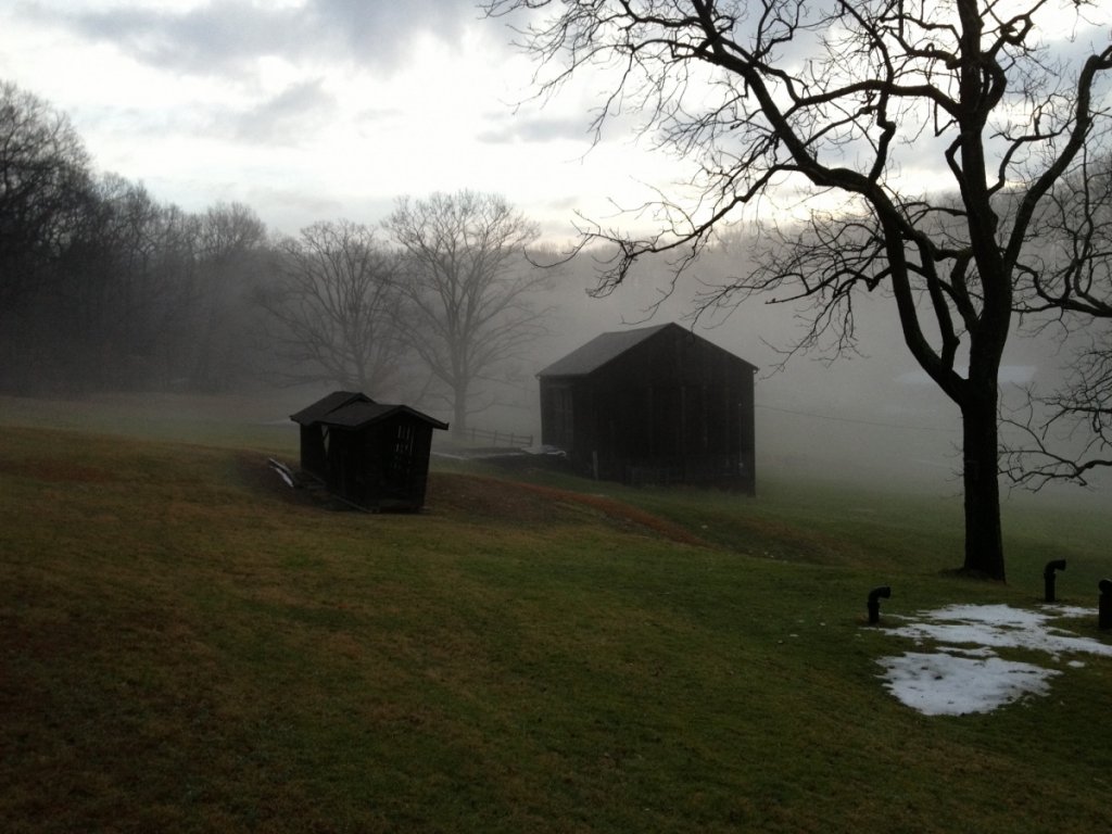 from a winter morning walk