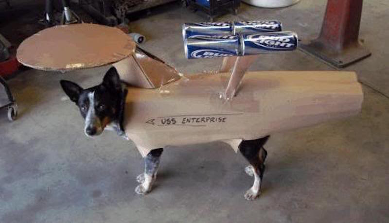 Doggieprise