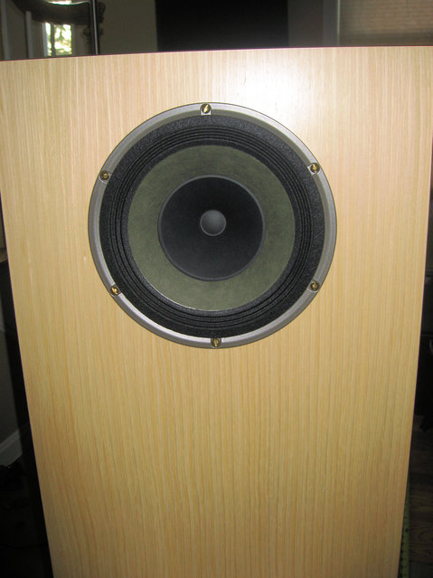 8" Alinco Hemp driver with brass screws installed 2
