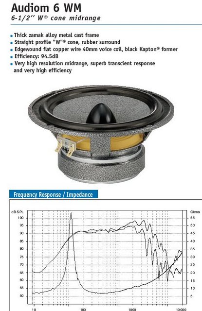 focal_6WM