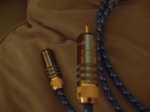 (Untitled)