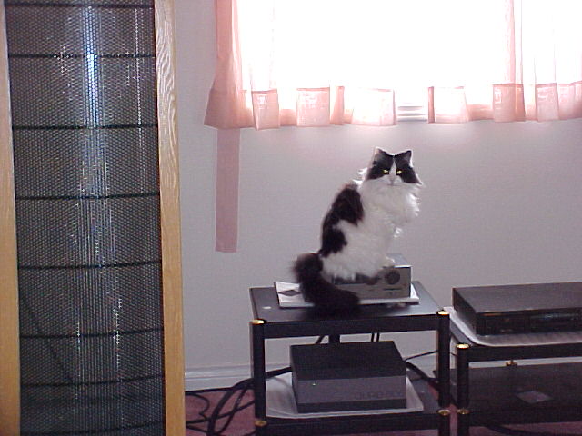 Sasha Awake and Alert