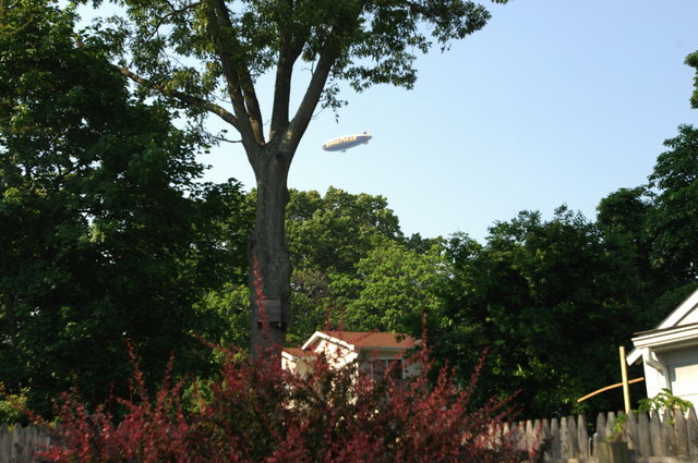 Blimp