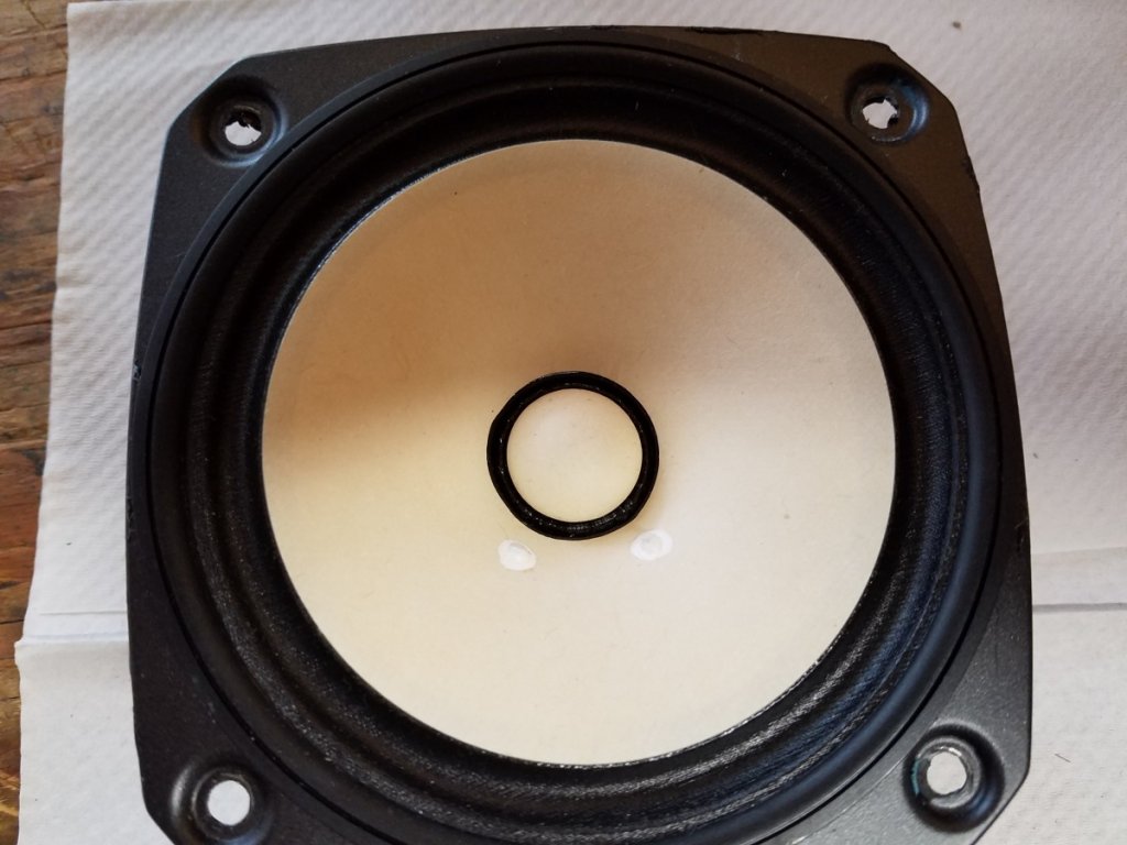 Fostex 4.5 in naked