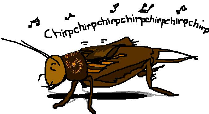 cricket