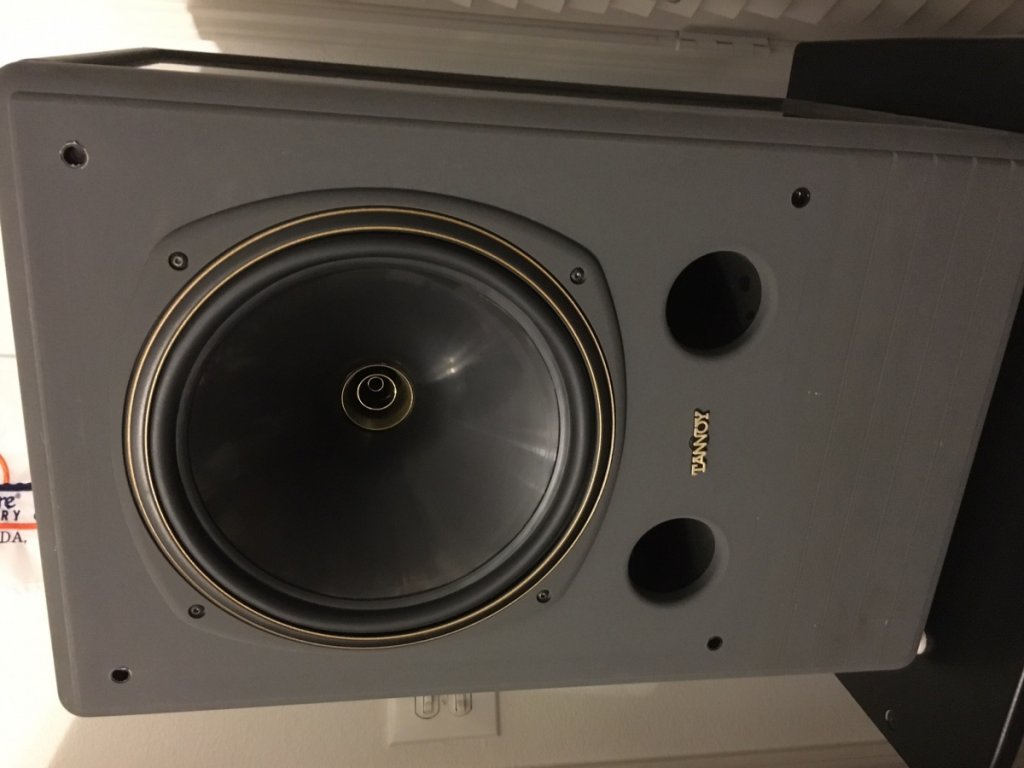 Tannoy 12 DMT II 1