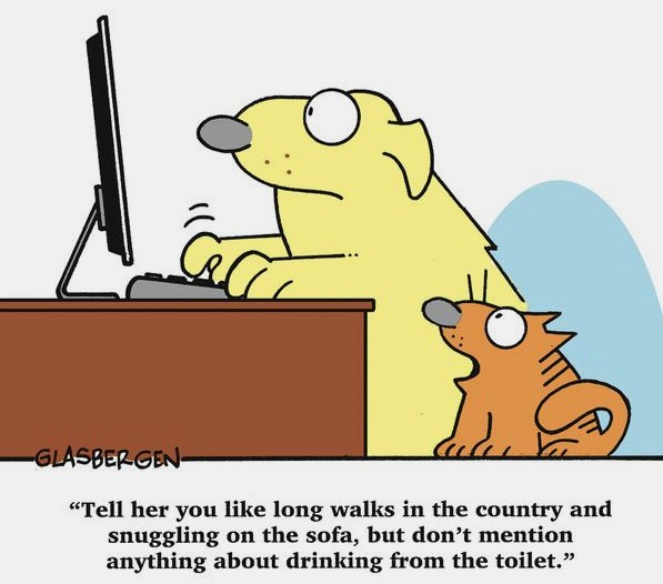 dogs