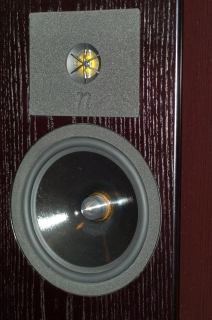 Neat Elite SE speaker closer