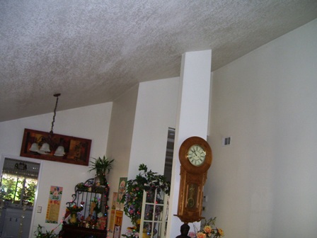 Living room 006