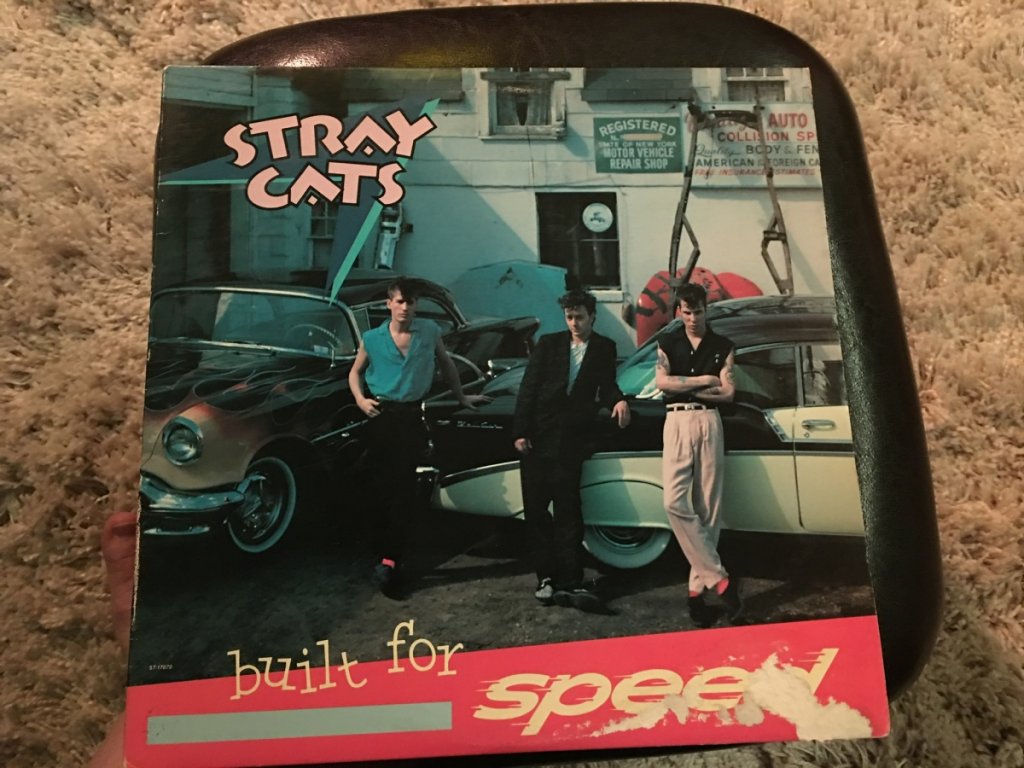 Stray Cats