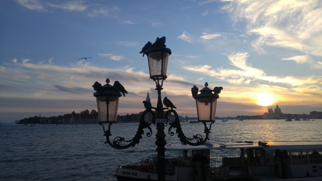 Venice Sunset
