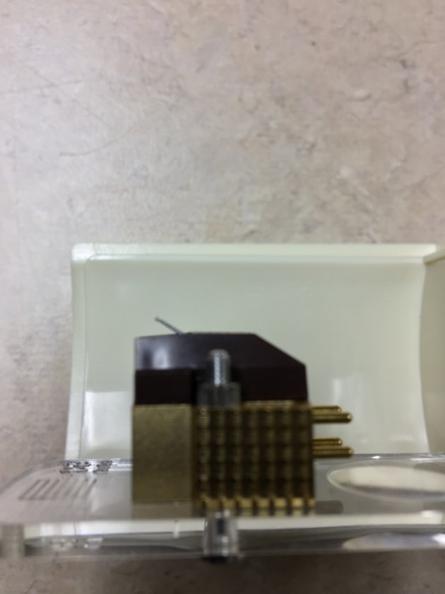 (Untitled)