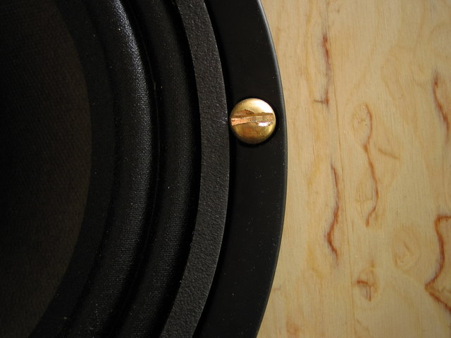 Omega Super 6 XRS Alnico - Brass screw closeup