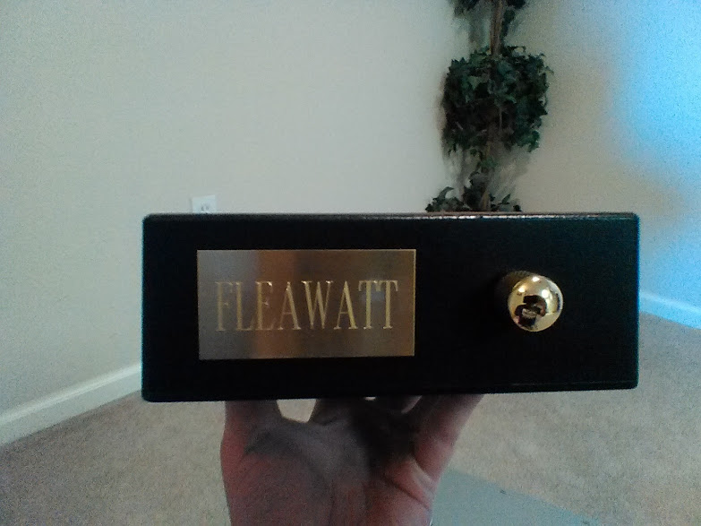 Fleawatt Amp