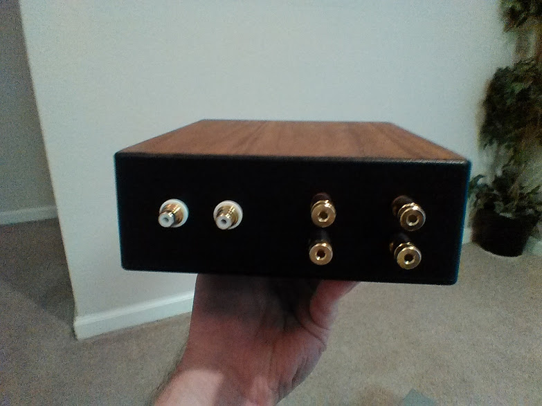 Fleawatt Amp.jpg 2