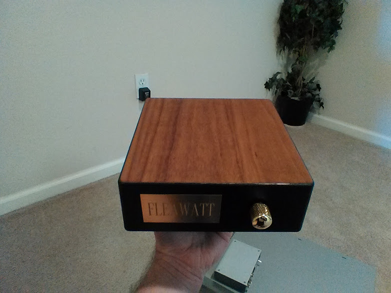 Fleawatt Amp.jpg 4
