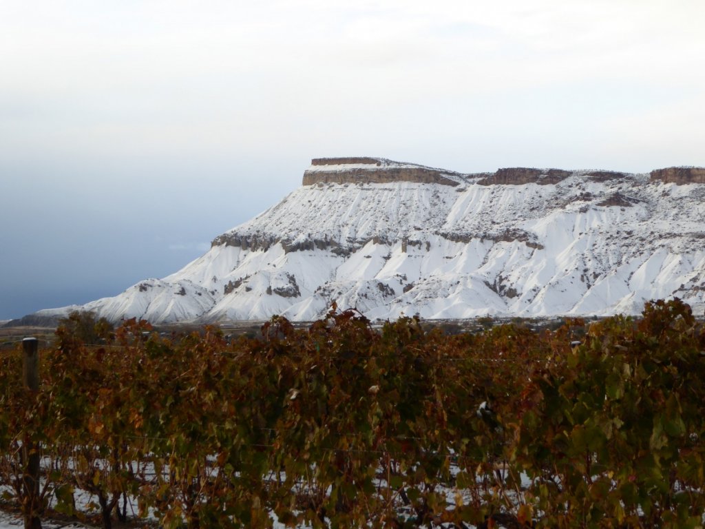 Mt.Garfield with first quilt of sky dandruff after the grapes are pressed. Grand Valley Colorado