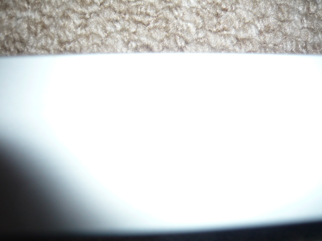 (Untitled)