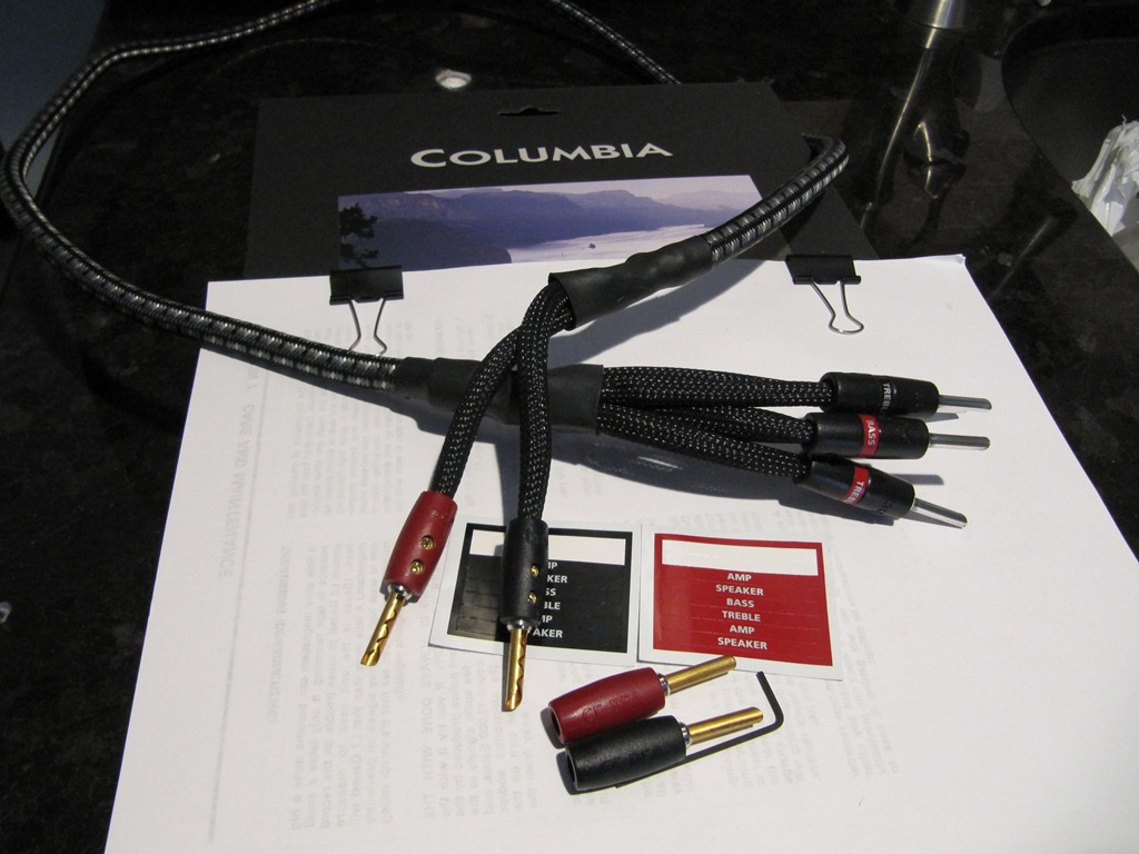 (Untitled)