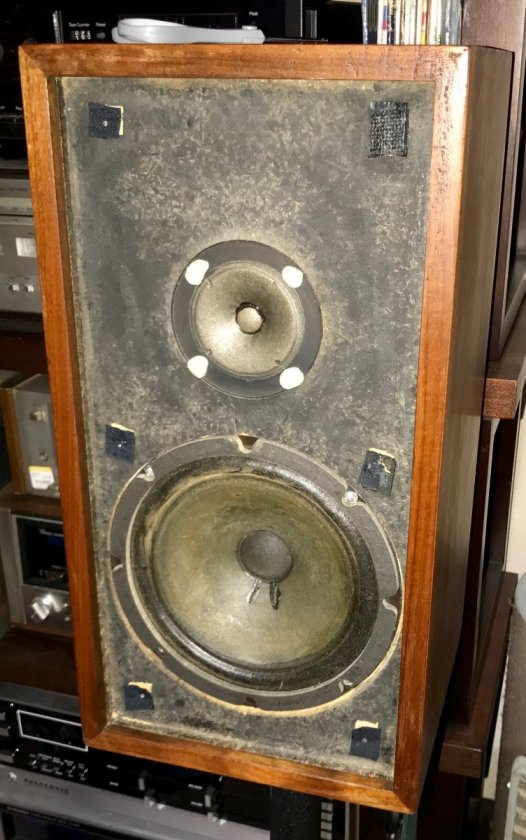 Early Cizek speakers