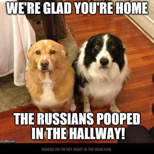 Pooped