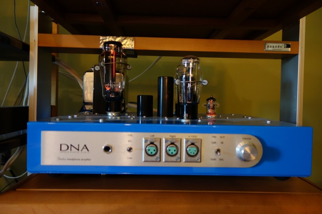 DNA1