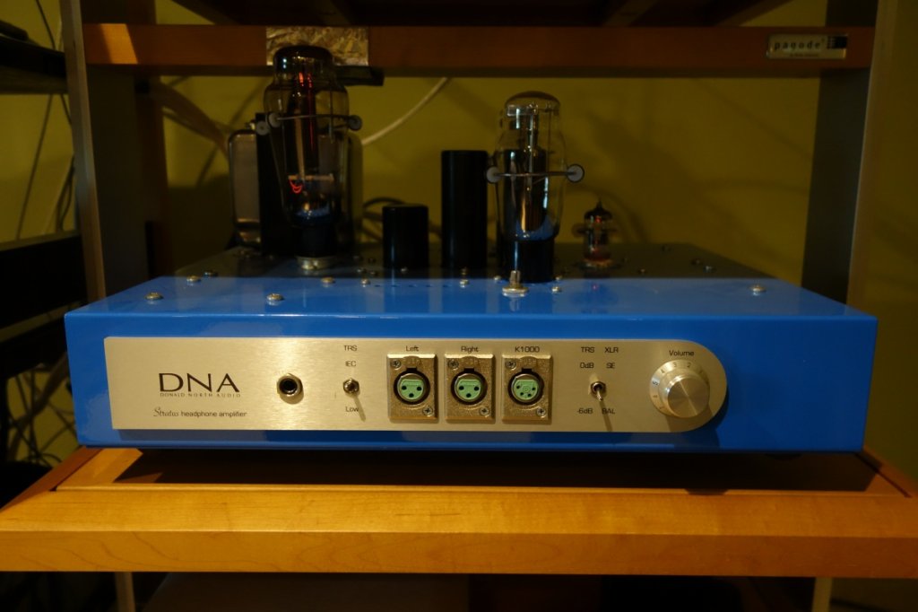 DNA3