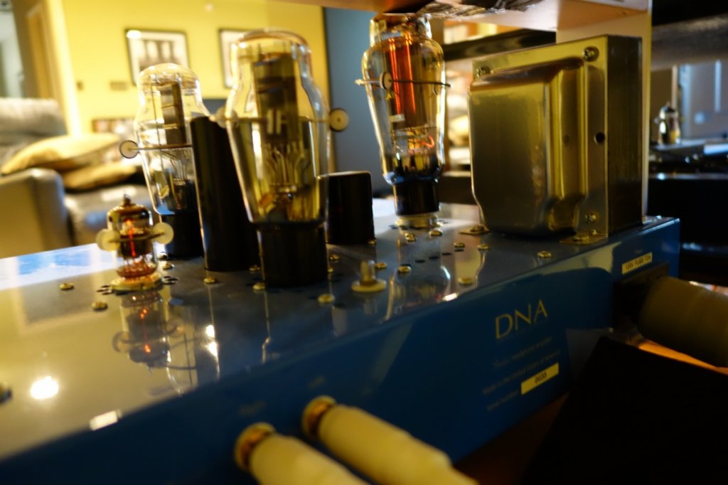 DNA6