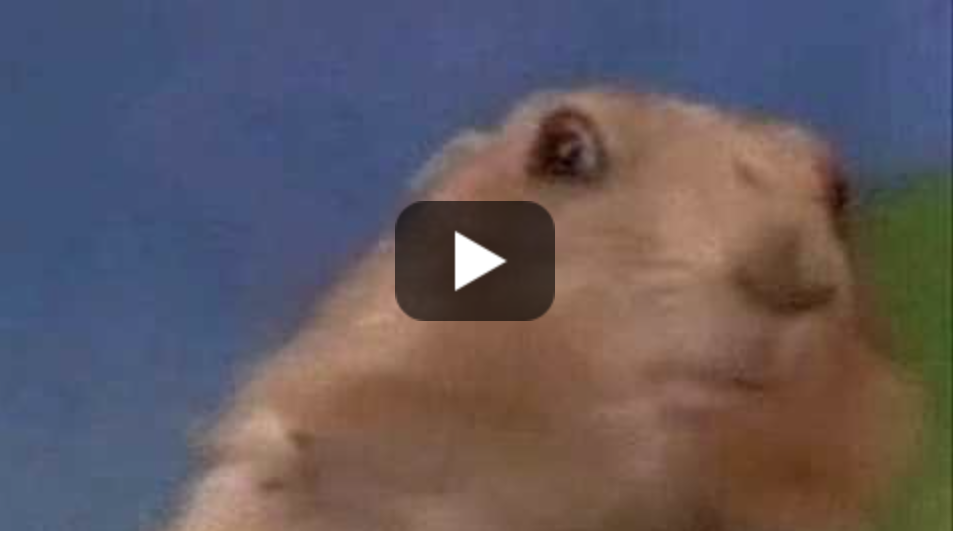 Groundhog 2