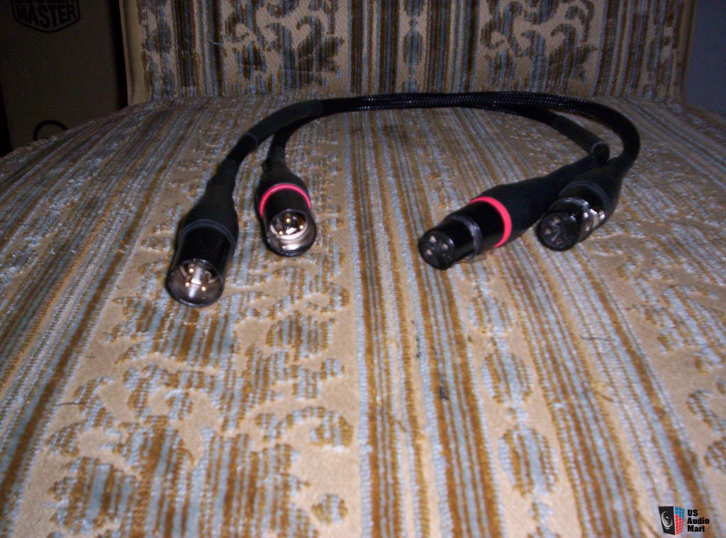 Avanti Balanced XLR Analog Cables - 4
