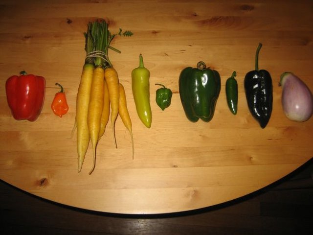 Food_001
