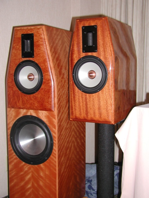 Salk HT3a and HT1
