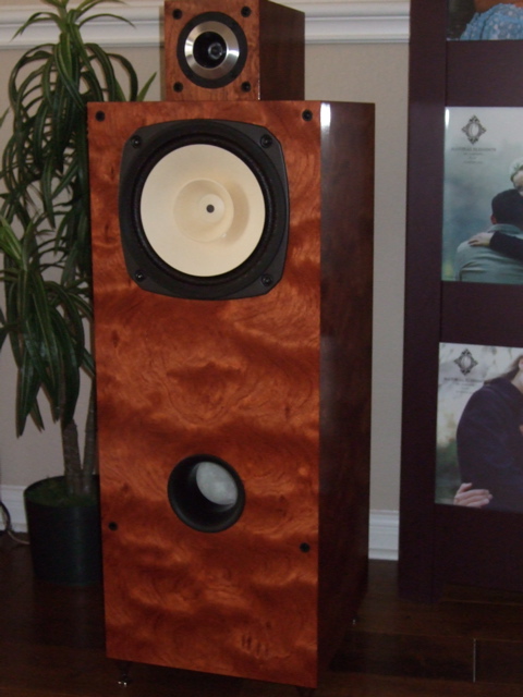 8-inch Fostex FE207E driver and Fostex FT17H driver (super-tweeter)