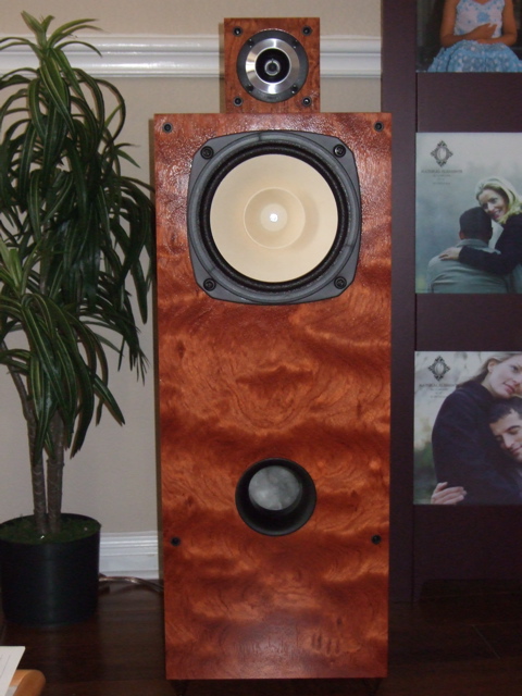 8-inch Fostex FE207E driver and Fostex FT17H driver (super-tweeter)