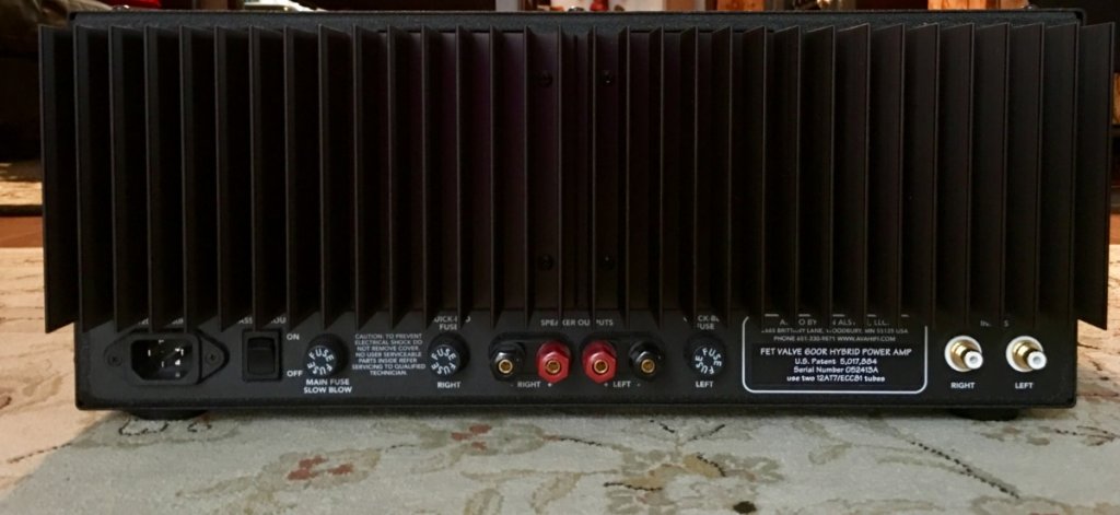 Van Alstine 600R FET VALVE AMP, Rear