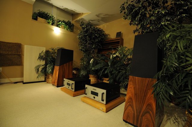 Vandersteen 5a with Audio Research rig