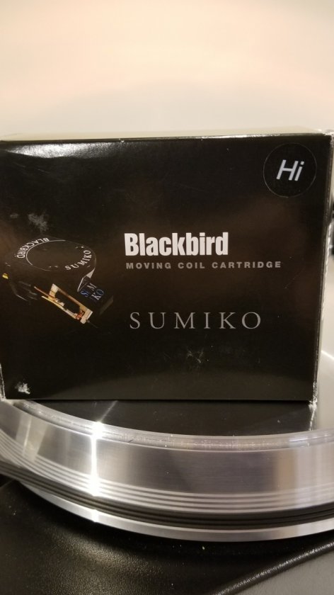Blackbird