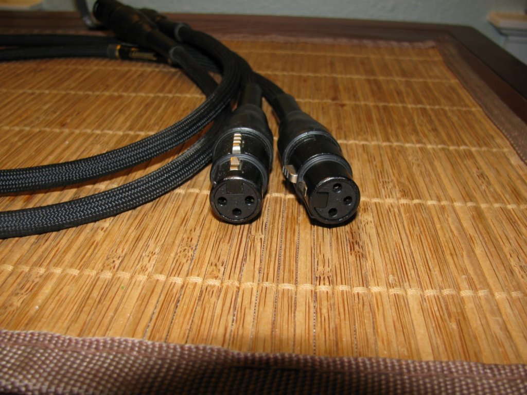 (Untitled)
