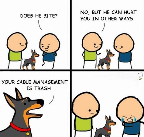 Bite