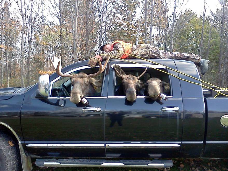 Moose Hunting