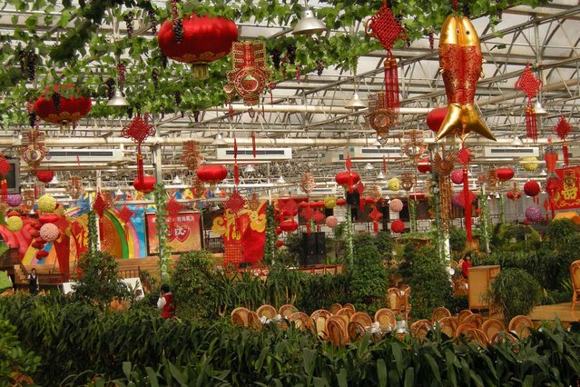 Beijing - huge restaurant - Located on the 6th circle (1.5hr ride from downtown), the restaurant has it's own farm with green houses.
