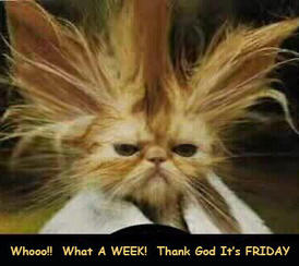 friday