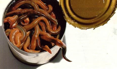 can of worms