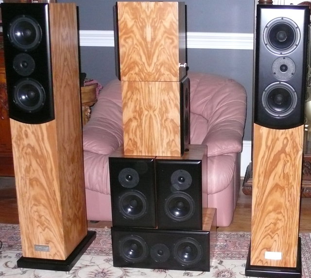 7 channel speaker system - These are the speakers I got for my home theater. 2 Salk Songtowers, 1 Song Center, and 4 Song Surrounds custom made in olivewood.