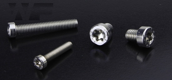 Torx-Cap-Screws-With-Low-Head-ISO-14580-sim.-DIN-7984-in-A 2