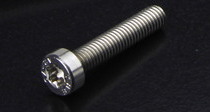 Torx-Cap-Screws-With-Low-Head-ISO-14580-sim.-DIN-7984-in-A 2